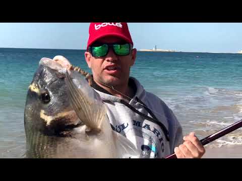 download lagu mp3 mp4 Raul Mario Surfcasting, download lagu Raul Mario Surfcasting gratis, unduh video klip Raul Mario Surfcasting