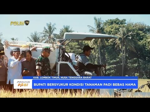 KAPOLRES LOMBOK TIMUR HADIRI PANEN RAYA PADI