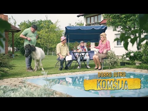 Cedo / Ljudi nije ovo konj, moj macak Dragutin veci od ovoga (BN Televizija 2019) HD