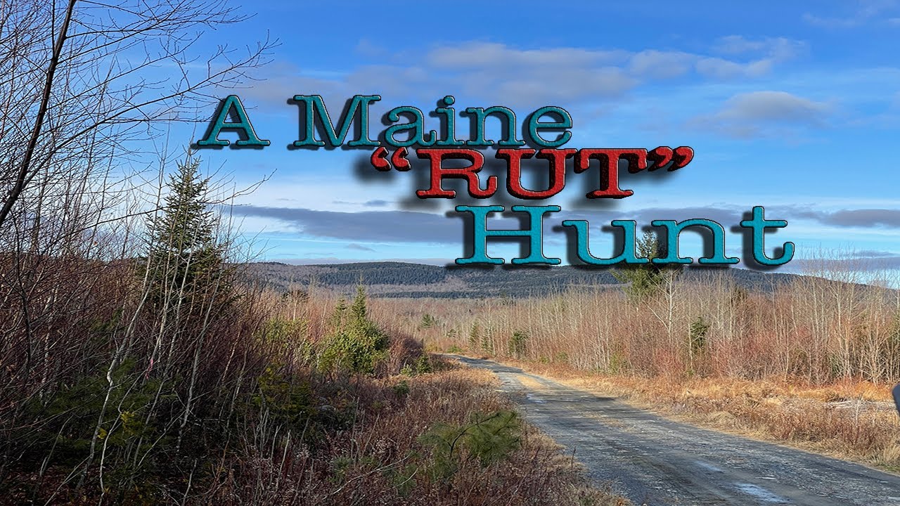 Where is the best hunting for whitetail deer in Maine? Tipseri