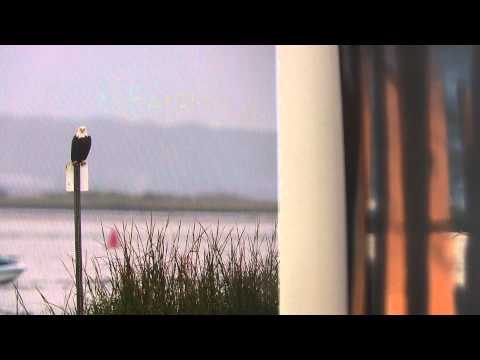 download lagu mp3 mp4 Ann Coen, download lagu Ann Coen gratis, unduh video klip Ann Coen