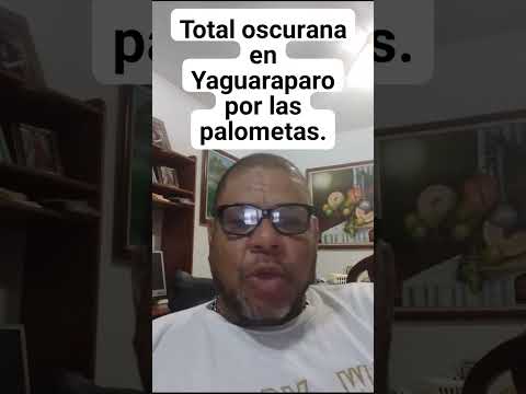 invasión de la palomera peluda en Yaguaraparo municipio cajigal estado sucre...