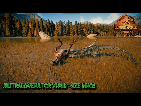 AUSTRALOVENATOR VS MID-SIZE DINOS | DINO FIGHT | JURASSIC WORLD EVOLUTION 2