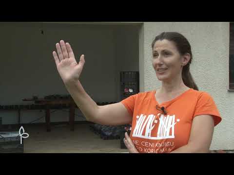 Ulog za profit ep. 46 - Porodica Pešić, voćarstvo - 01.09.2020.