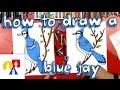 How To Draw A Blue Jay