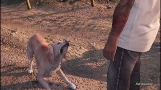 How to get a new dog in gta 5 storymode (not clickbait)