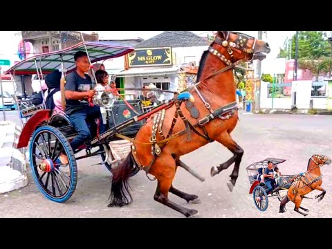 Kuda _ Kuda Ngamuk _ Naik Kuda Delman Ngamuk Jingkrak
