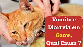 VOMITO E DIARREIA em Gatos, [ o que pode causar] 