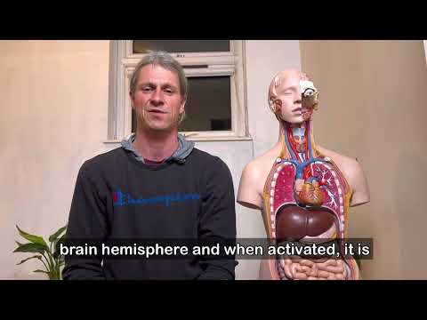 Which model is better for enlightenment? Chakra/kundalini or wester medical?