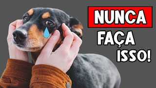 9 Coisas que seu cachorro NUNCA PERDOARÁ! 😞