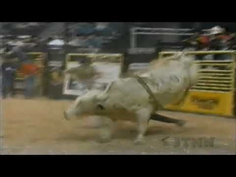 Katydid bucks Cody Lambert - 95 PBR Finals