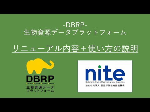 ペロダイトについて詳しく解説