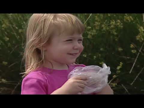 Teletubbies Series 2 Episode 14: Sarah, Fraser, and the Ducks