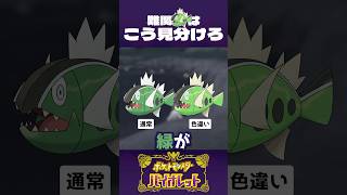 バスラオは 、ここで見分けます！【ポケモンSV】