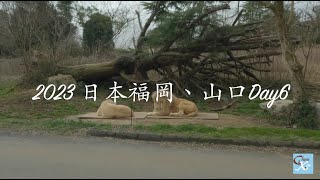 [遊記] 山口縣自駕遊介紹：秋吉台景點及秋芳洞