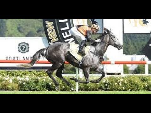 2018 WRC Captain Cook Stakes