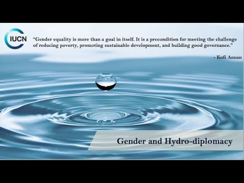 T3 Gender and Hydro-diplomacy