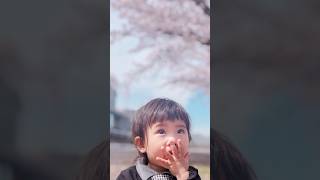入園式🌸無事に終わりました☺ #1歳児 #赤ちゃん #赤ちゃんのいる生活 #三兄弟 #末っ子 #クォーター #入園式 #初めてシリーズ #shorts