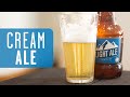 Kit Equipamentos Cerveja Fácil – BIAB 20L Basic