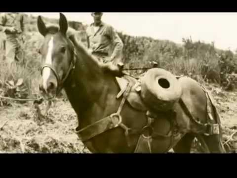 HRTV Inside Information Reckless