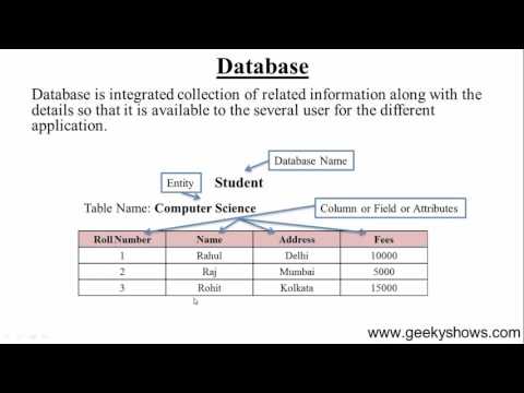 2 What is Database Hindi