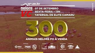Miniatura do vídeo