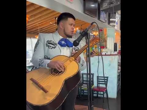 Promotional video thumbnail 3 for Mariachi Elegancia