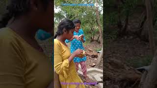 Eating Palm Fruit (Tal) With Villagers