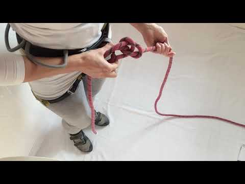 Doppelter Bulinknoten