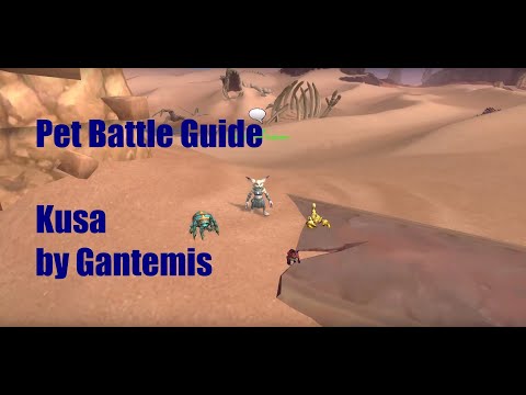How to defeat Kusa pet battle
