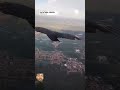 Unbelievable: Vulture Lands on Paraglider Over Brazil