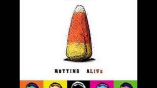 Sponge - Rotting Pinata