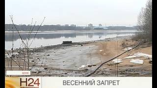 Запрет по рыбной ловле в ярославской области