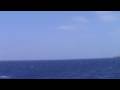 Hornet S Sonic Boom Wmv