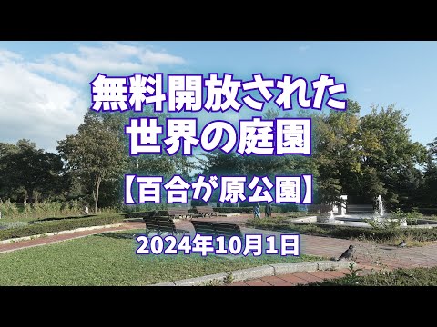 安い木製プールガーデン