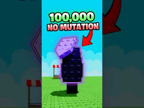 Is Moon Mango the BEST for Money?💰🤑