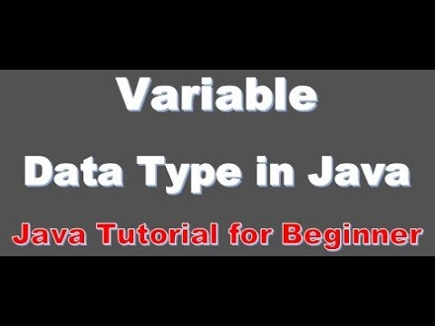 Java Programming Tutorial 05 Variable and Data Types use in Java Urdu Hindi
