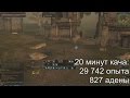 Где качаться мили в Lineage 2 Classic? Топ спот 20-24 уровень. 