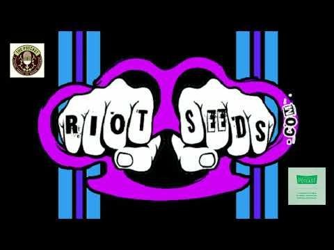 Episode 37 ft Matt Riot of Riot Seeds 2.0  -  25/4/19