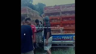 Download lagu story wa kurir ayam potong mp3 Download lagu story wa kurir ayam potong mp3