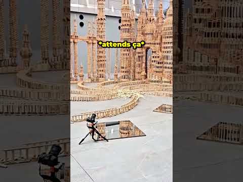 Une chute de dominos parfaitement synchronisée ! 🤯