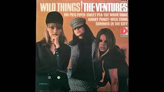 Wild And Wooly - The Ventures