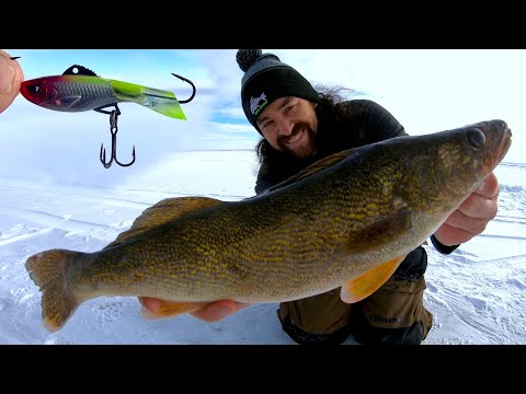 Lake Diefenbaker Walleye Slap Down! ACME Hyper Rattles Multi Species!