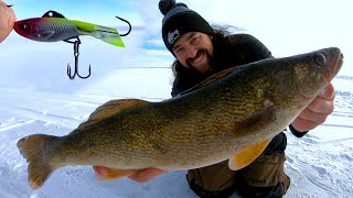 Lake Diefenbaker Walleye Slap Down! ACME Hyper Rattles Multi Species!