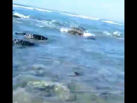 #travel  # inani #cox'sbazar