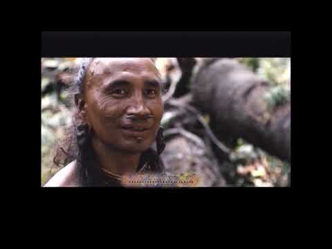 in vino veritas - Marco Papa APOCALIPPO