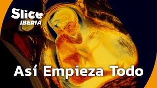 Thumbnail del capítulo