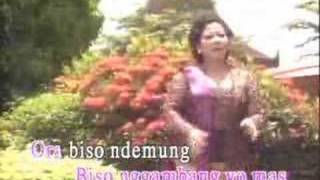 Waljinah : Walang Kekek