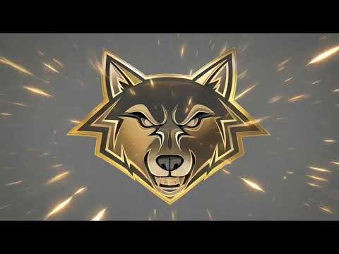 Sports Logo in Metal