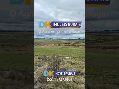 Arrendamento Rural | Oportunidades em Santana do Livramento, Santo Antônio das Missões e São Gabriel